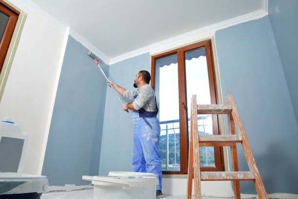 Best Painting for New Construction  in Johnson City, NY